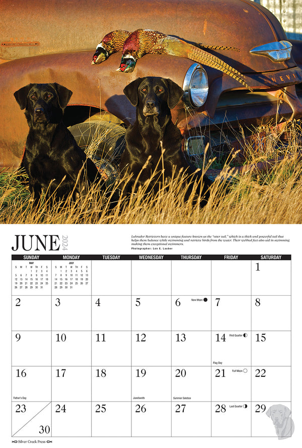 2024 Labs Afield Calendar Silver Creek Press