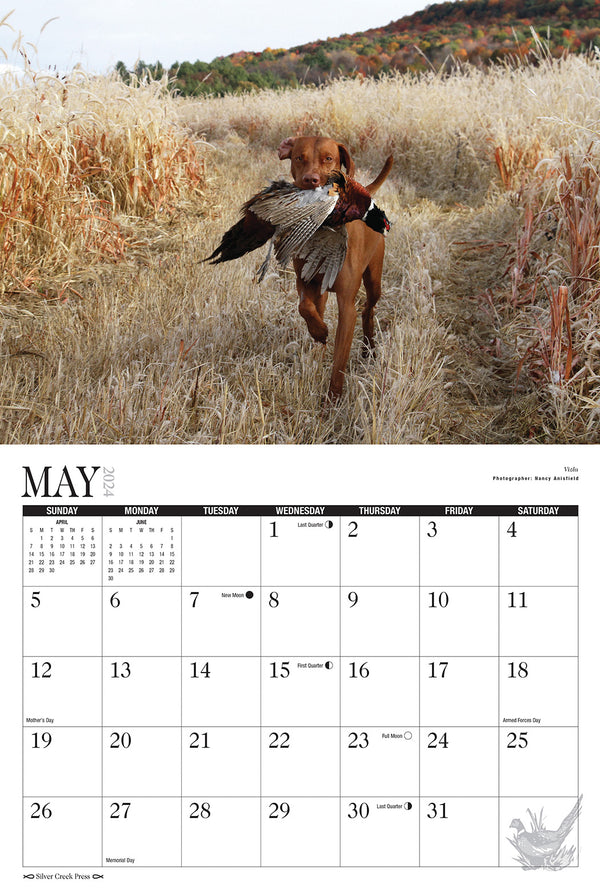 2024 Hunting Dogs Calendar Silver Creek Press