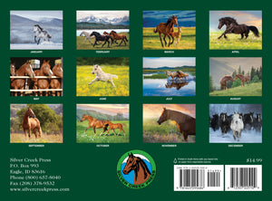 2025 Horses Calendar