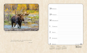 2025 Sportsman's Desk Calendar