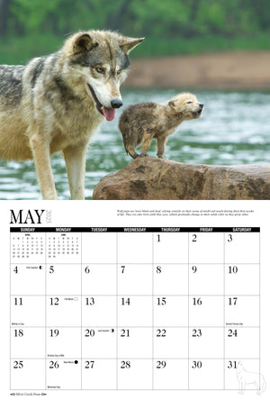 2025 Wolves Calendar