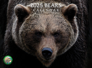 2025 Bears Calendar