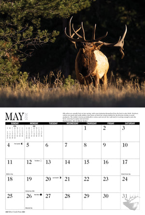 2025 Elk Calendar