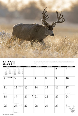 2025 Mule Deer Calendar