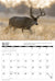 2025 Mule Deer Calendar