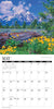 2025 America's National Parks & Forests Calendar 12x12