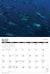 2025 Saltwater Sportsmen & Trophy Game Fish Calendar