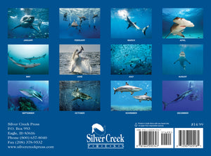 2025 Sharks Calendar