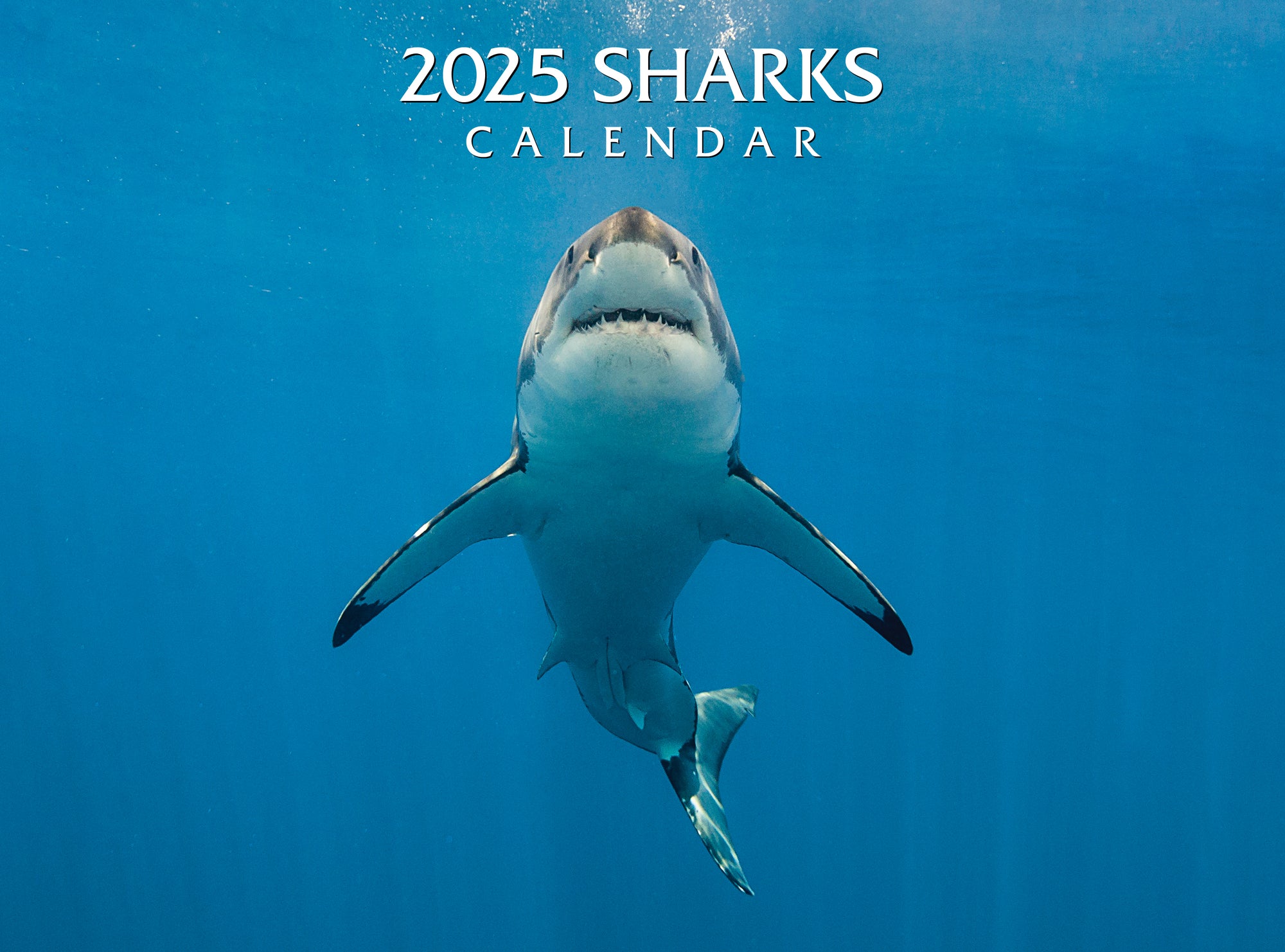 2025 Sharks Calendar