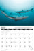 2025 Sharks Calendar