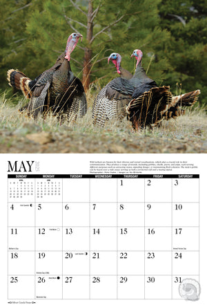 2025 Turkey Calendar