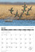 2025 Waterfowl Calendar