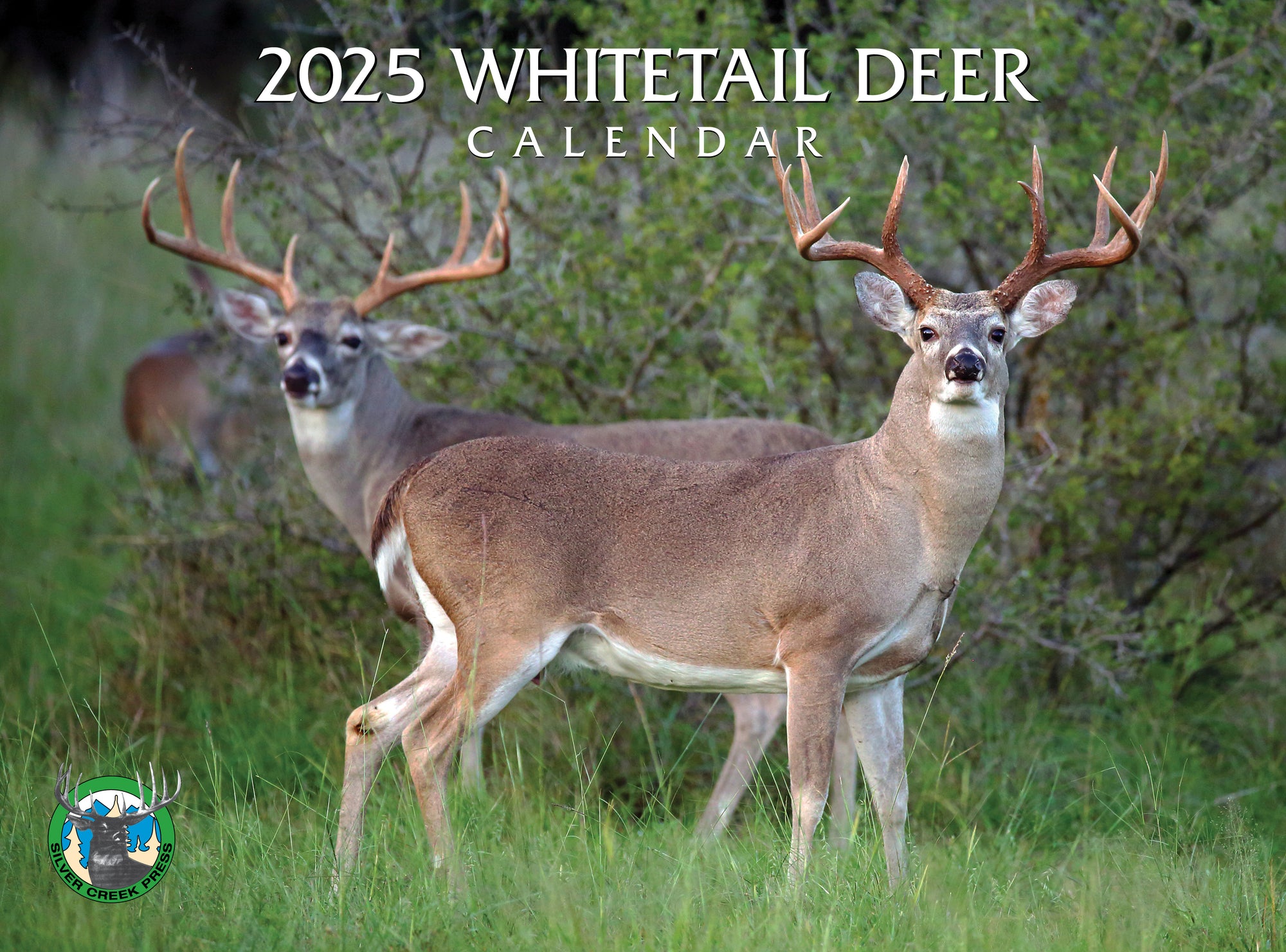 2025 Whitetail Deer Calendar