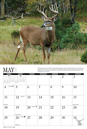 2025 Whitetail Deer Calendar