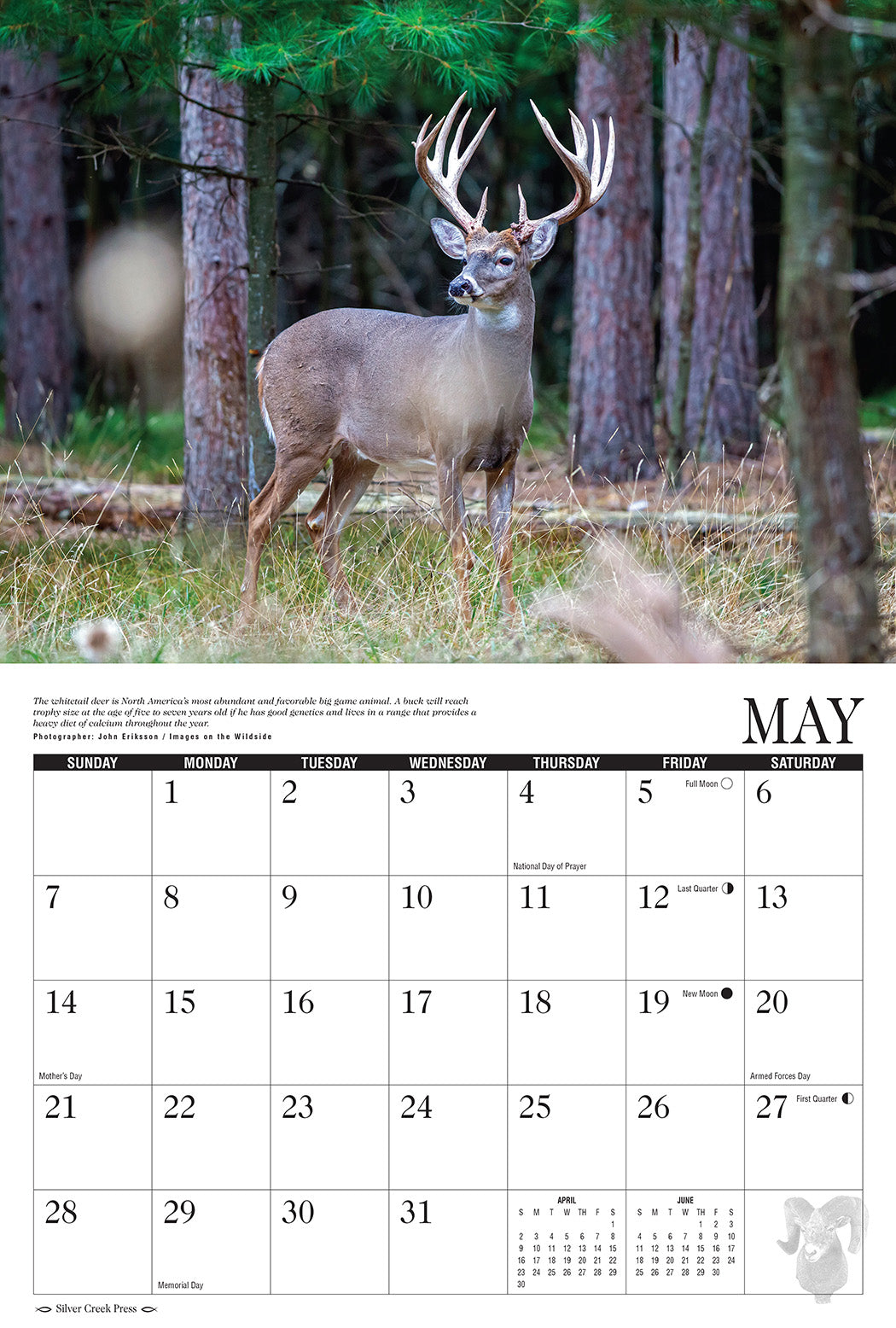 2023 Trophy Antlers & Horns Calendar Silver Creek Press